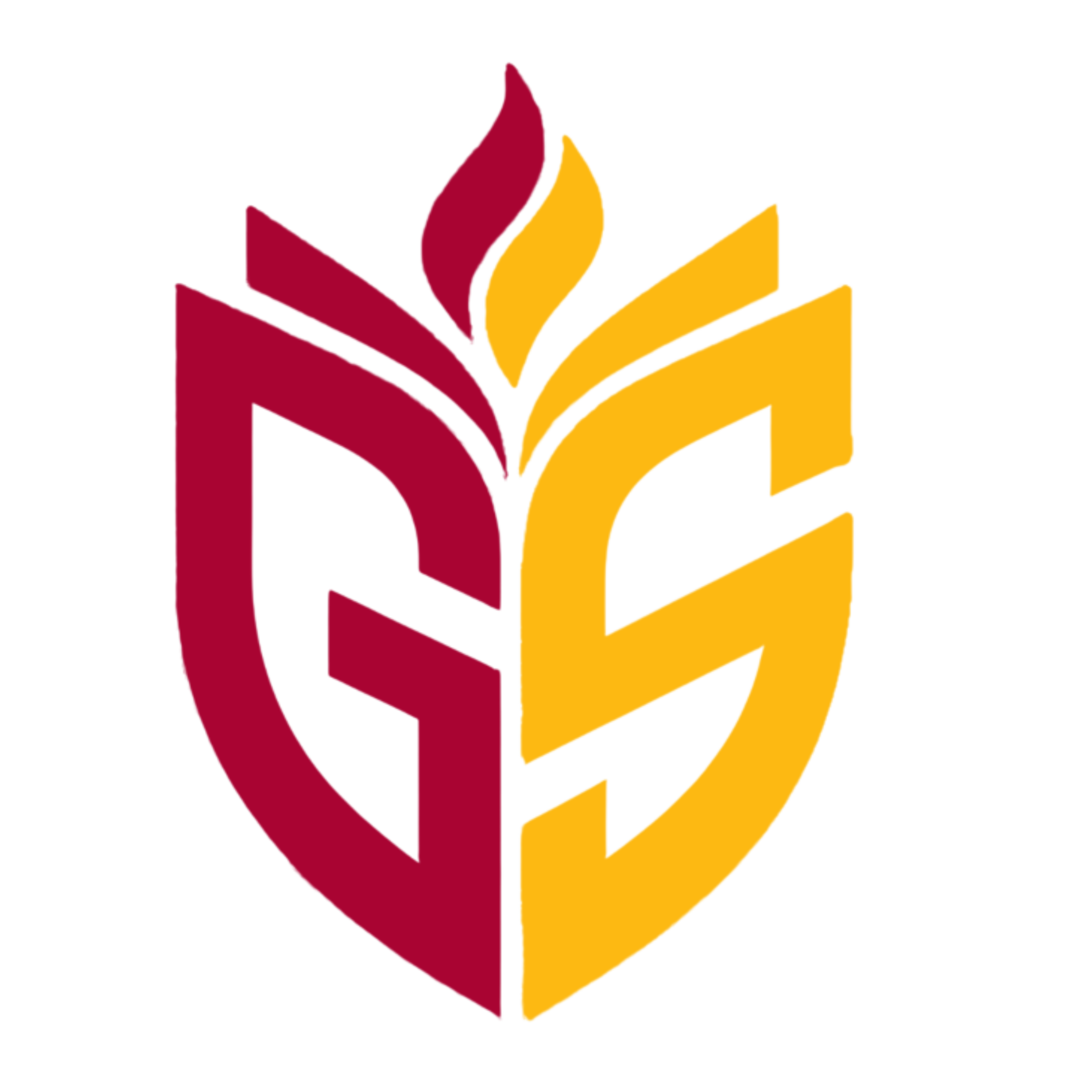 GS Academy Logo