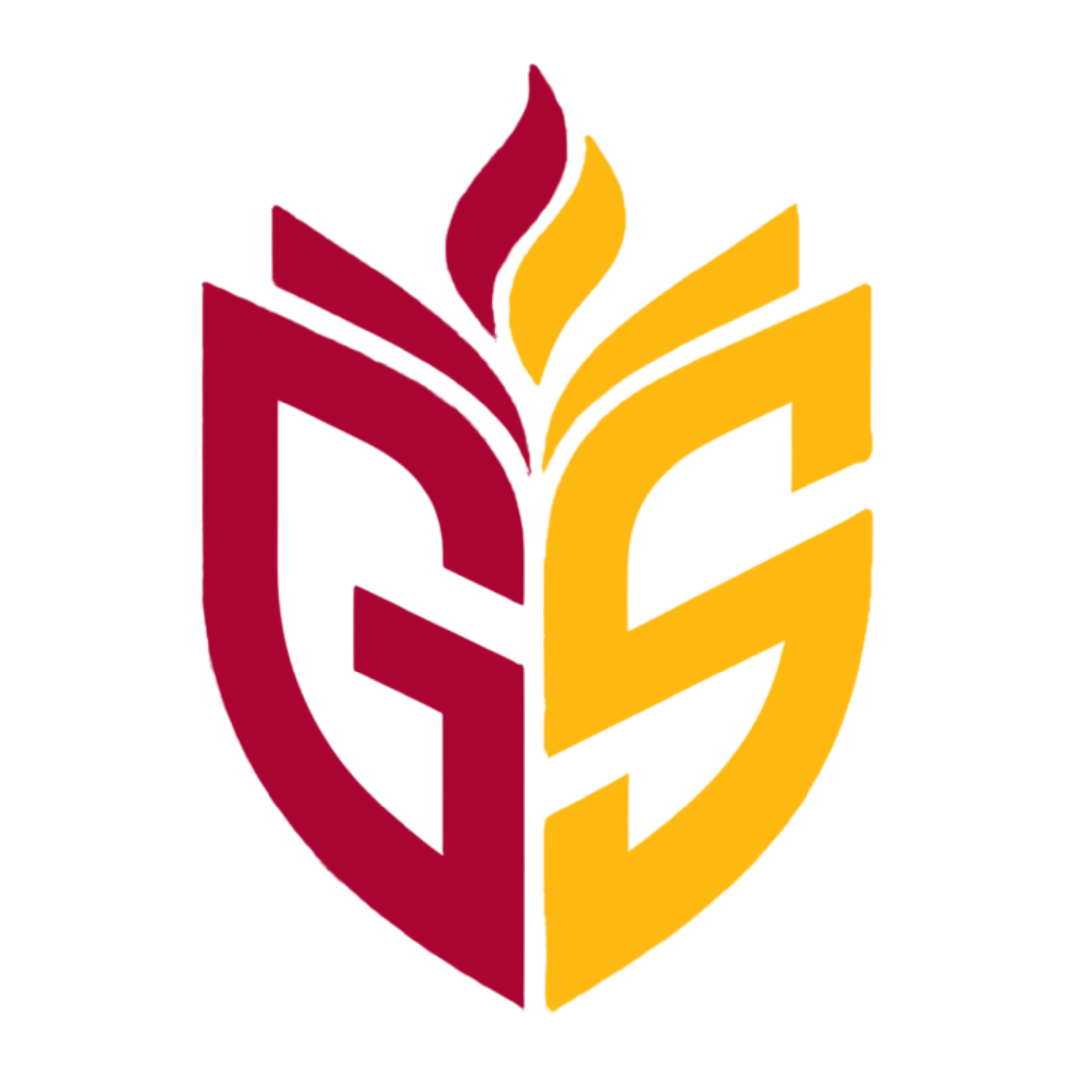 GS Academy Logo